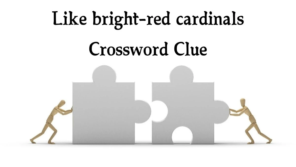 USA Today Like bright-red cardinals Crossword Clue Puzzle Answer from August 08, 2024