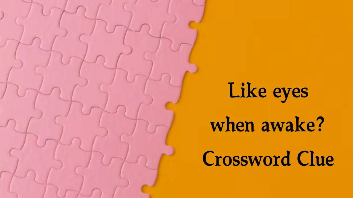 Like eyes when awake? Daily Themed Crossword Clue Puzzle Answer from August 20, 2024