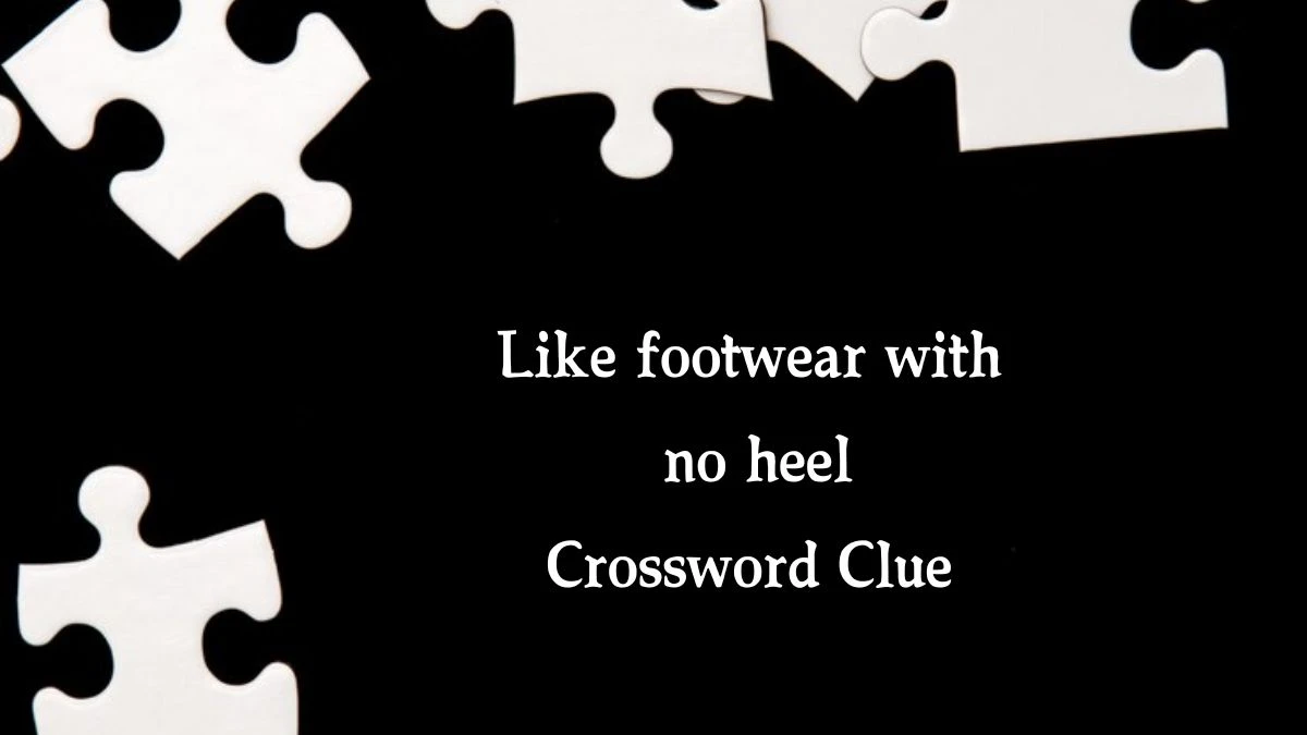 Like footwear with no heel Daily Themed Crossword Clue Puzzle Answer from August 19, 2024