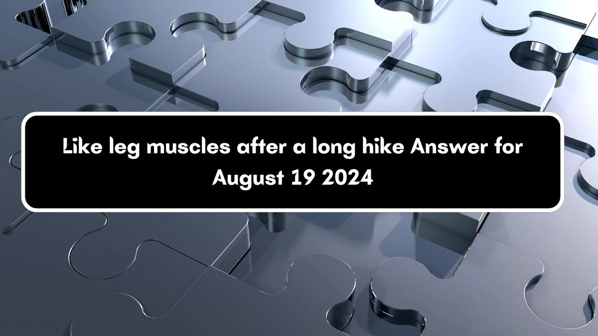 Universal Like leg muscles after a long hike Crossword Clue Puzzle Answer from August 19, 2024