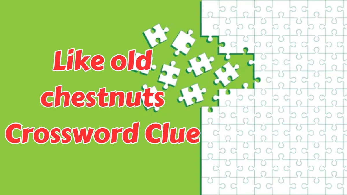 Like old chestnuts NYT Crossword Clue Puzzle Answer from August 08, 2024