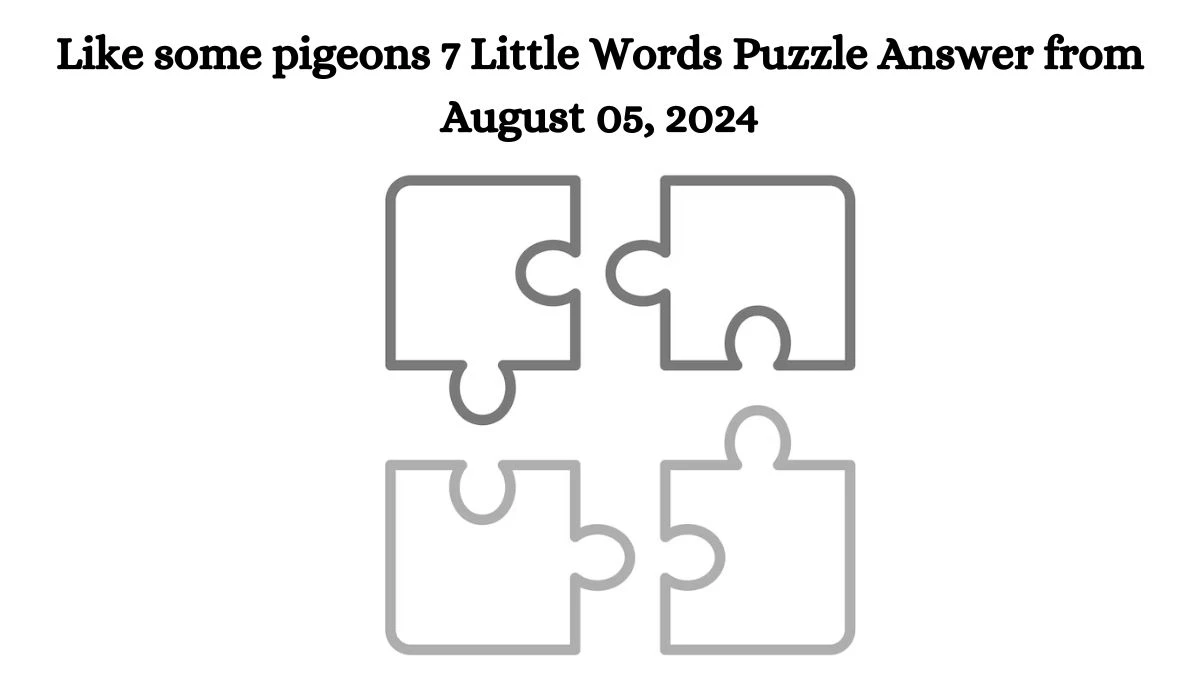 Like some pigeons 7 Little Words Puzzle Answer from August 05, 2024