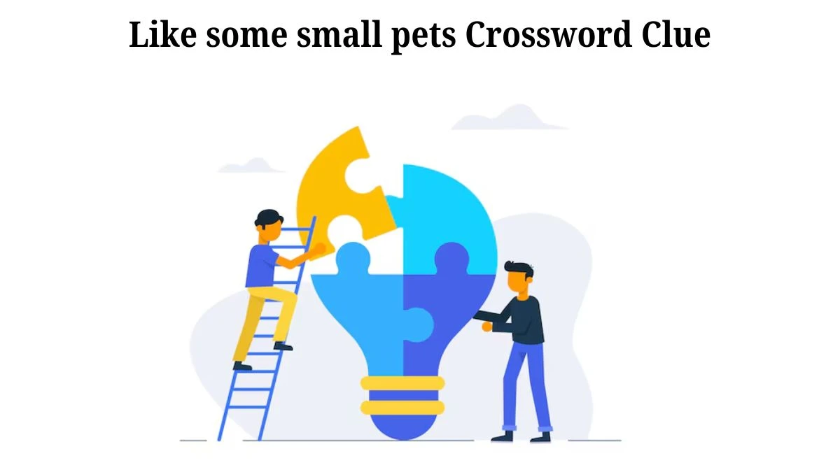 LA Times Like some small pets Crossword Clue Puzzle Answer from August 05, 2024