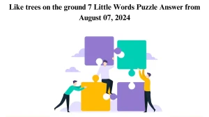 Like trees on the ground 7 Little Words Puzzle Answer from August 07, 2024