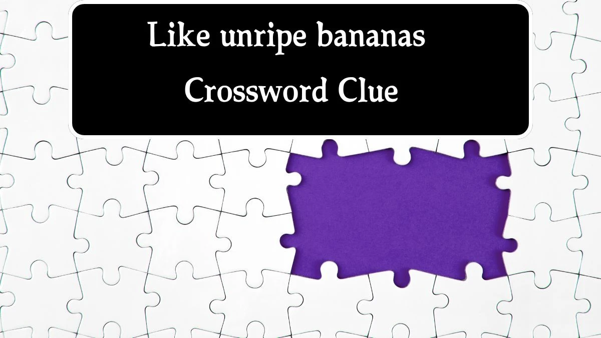 Like unripe bananas Daily Commuter Crossword Clue Puzzle Answer from August 17, 2024