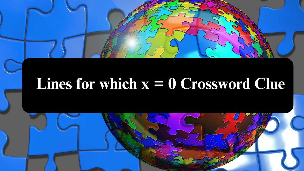 Lines for which x = 0 NYT Crossword Clue Puzzle Answer on August 04, 2024