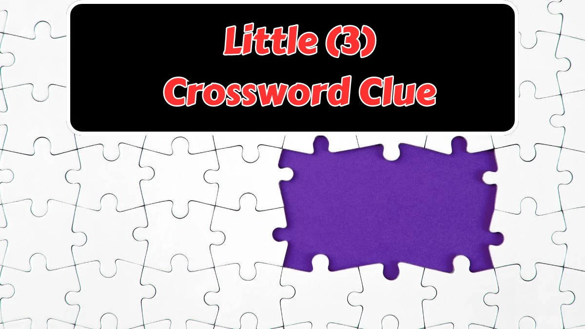 Little (3) Crossword Clue Puzzle Answer from August 08, 2024