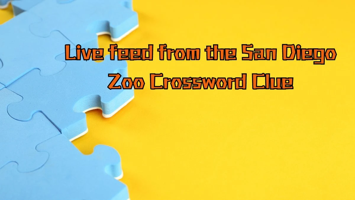 LA Times Live feed from the San Diego Zoo Crossword Clue Puzzle Answer from August 16, 2024