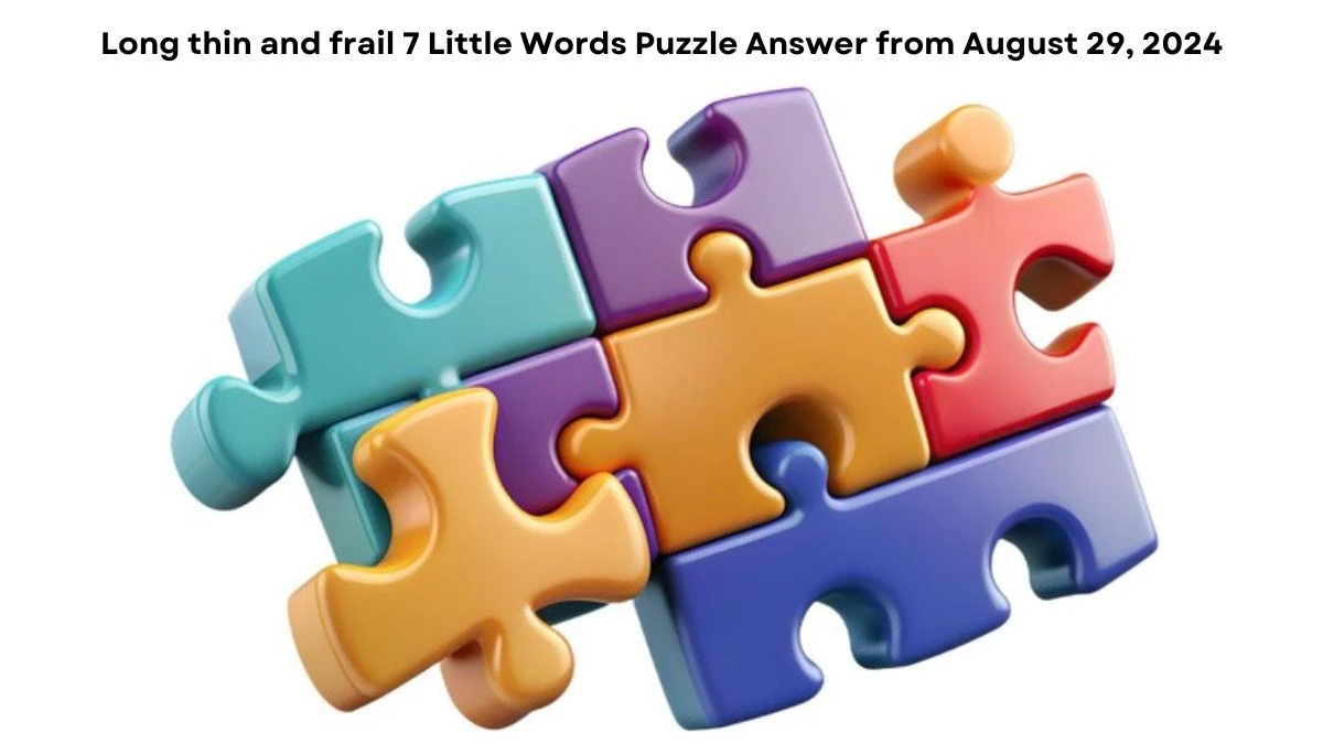 Long thin and frail 7 Little Words Puzzle Answer from August 29, 2024