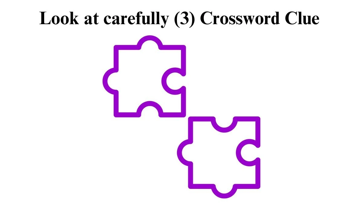 Look at carefully (3) 3 Letters Crossword Clue Puzzle Answer from August 10, 2024