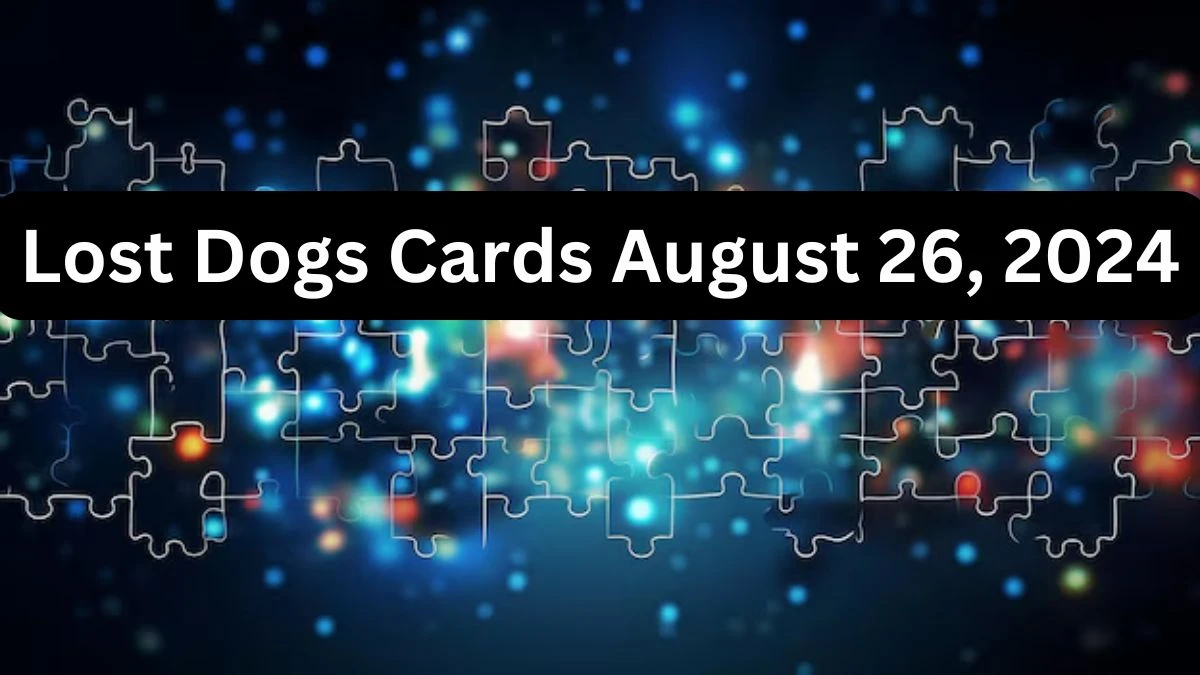 Lost Dogs Cards August 26, 2024