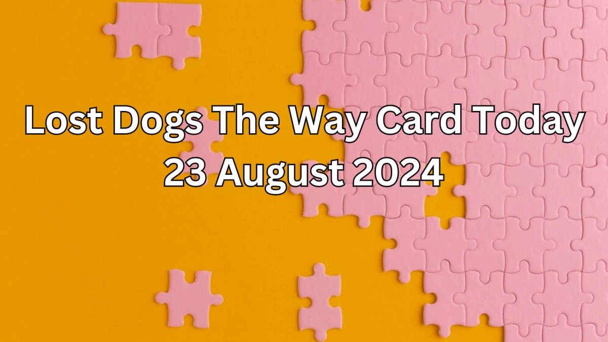 Lost Dogs The Way Card Today 23 August 2024