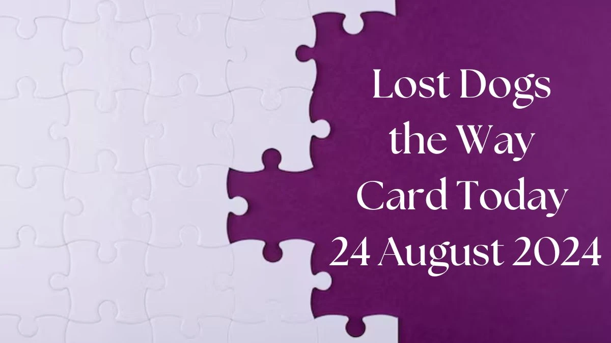 Lost Dogs the Way Card Today 24 August 2024