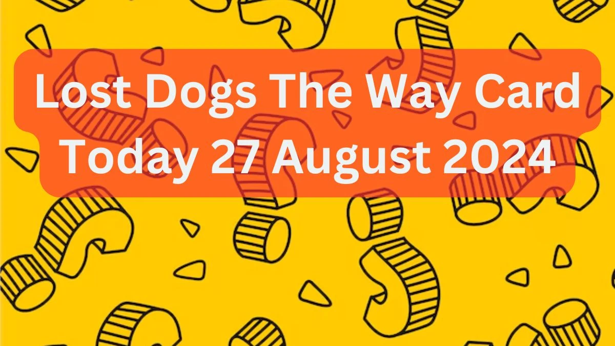 Lost Dogs The Way Card Today 27 August 2024