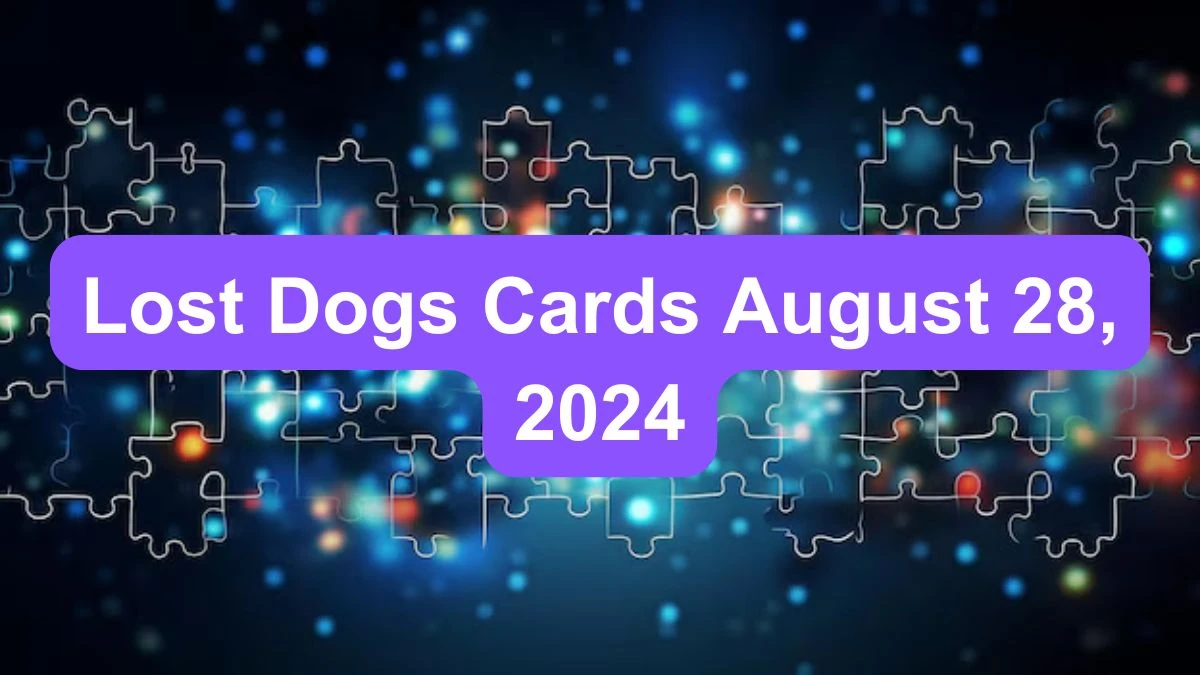 ​lost Dogs The Way Card Today 28 August 2024​