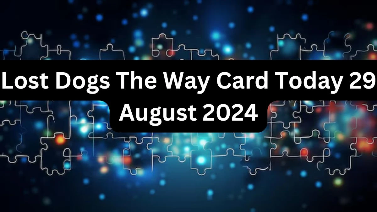 Lost Dogs The Way Card Today 29 August 2024