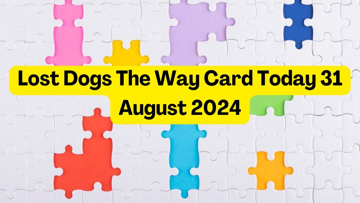 Lost Dogs The Way Card Today 31 August 2024