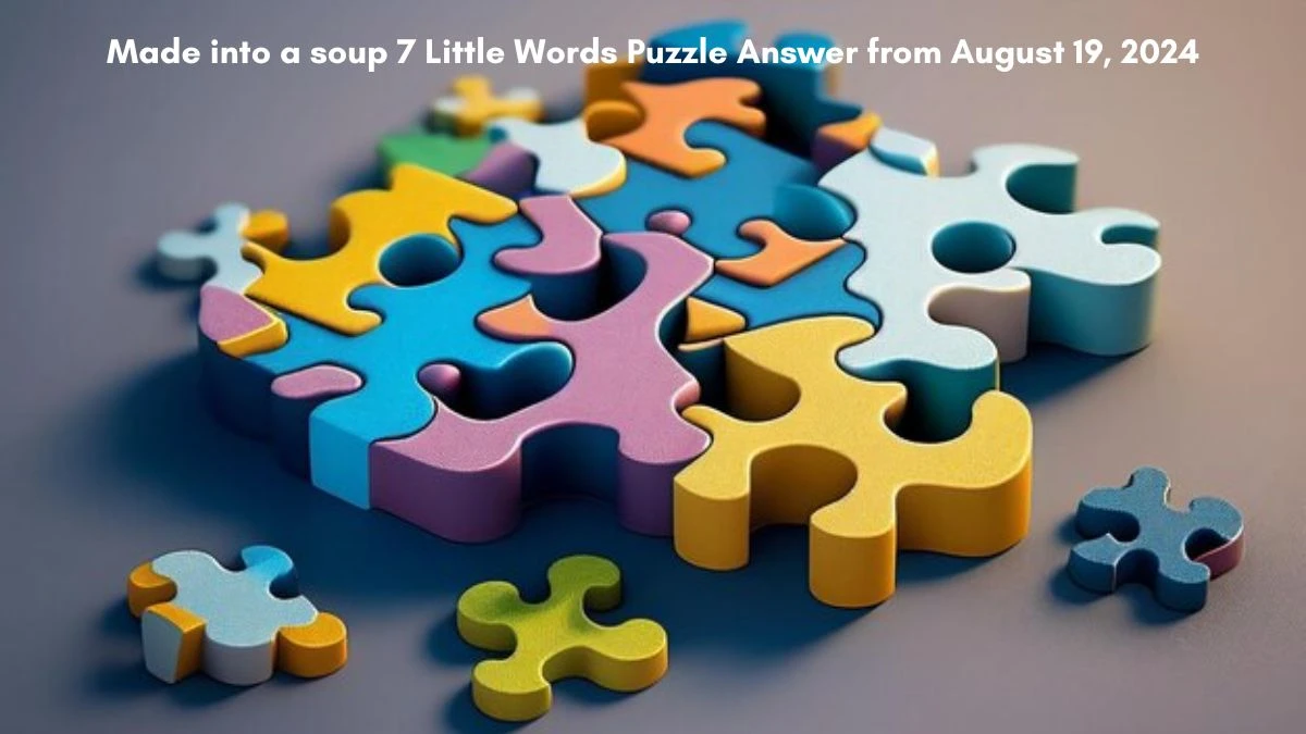 Made into a soup 7 Little Words Puzzle Answers from August 19, 2024