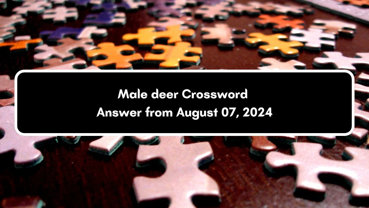 Male deer Daily Themed Crossword Clue Puzzle Answer from August 07, 2024