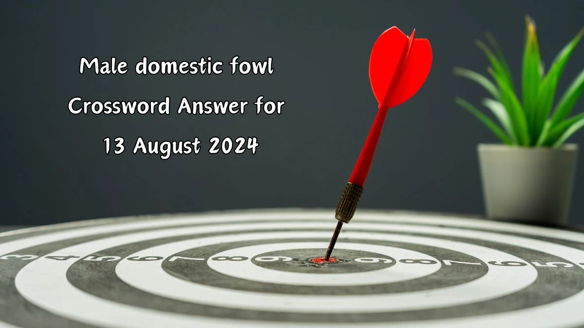 Male domestic fowl Crossword Clue Puzzle Answer from August 13, 2024