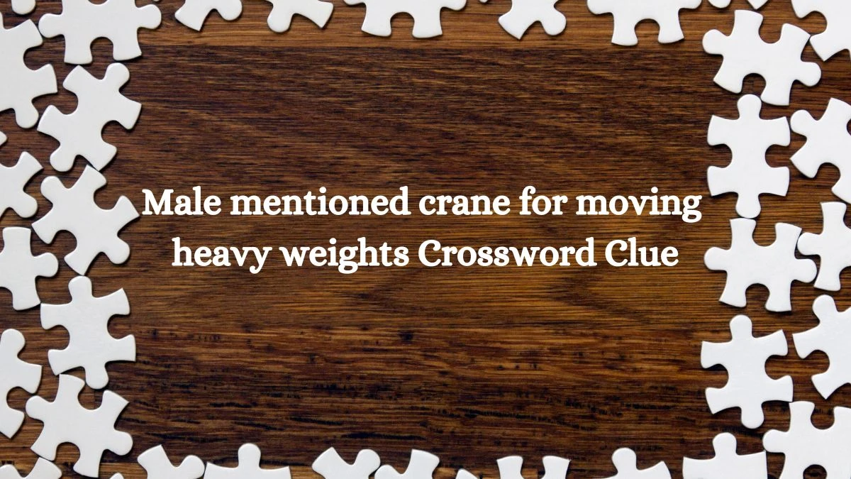 Male mentioned crane for moving heavy weights Crossword Clue Puzzle Answer from August 06, 2024