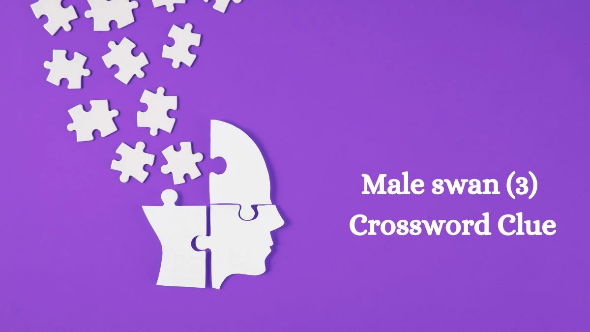 Male swan (3) 3 Letters Crossword Clue Puzzle Answer from August 10, 2024