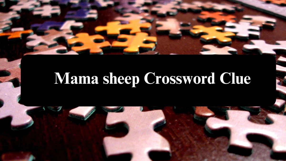 USA Today Mama sheep Crossword Clue Puzzle Answer from August 07, 2024