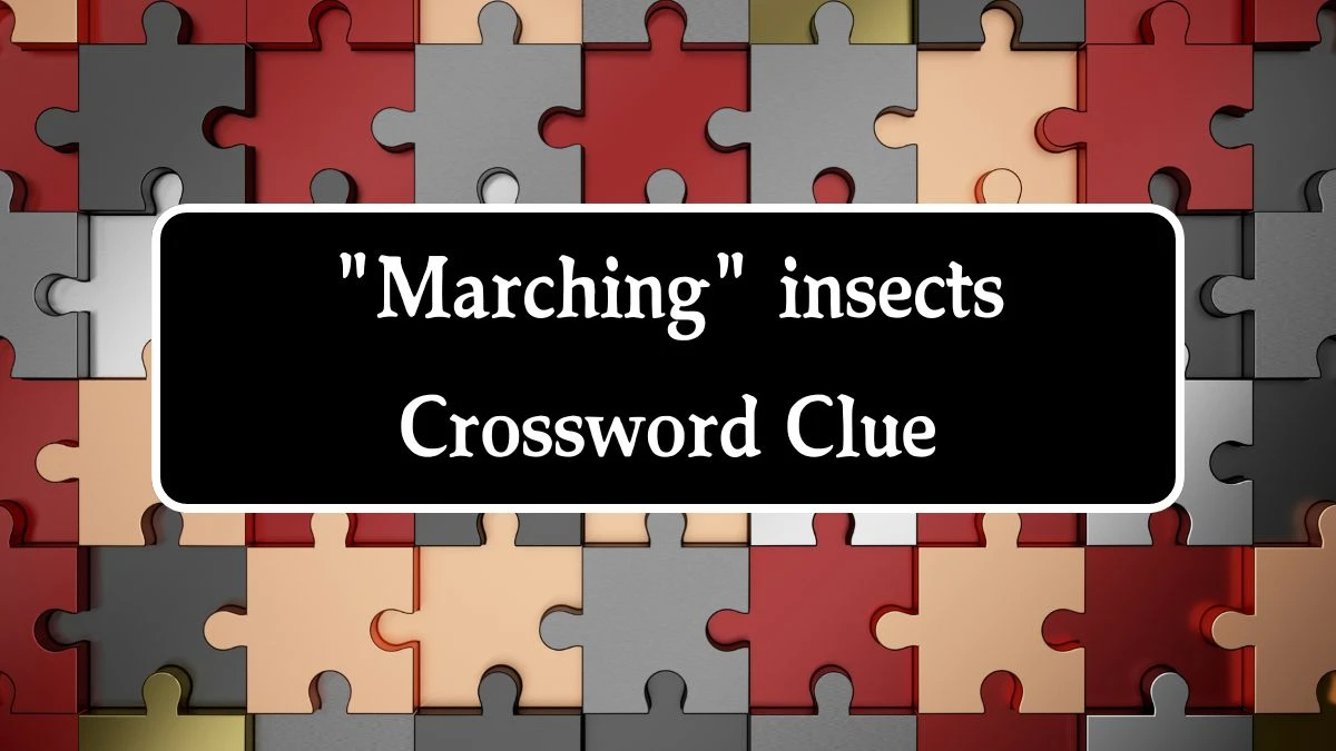 Marching insects Daily Commuter Crossword Clue Puzzle Answer from August 10, 2024