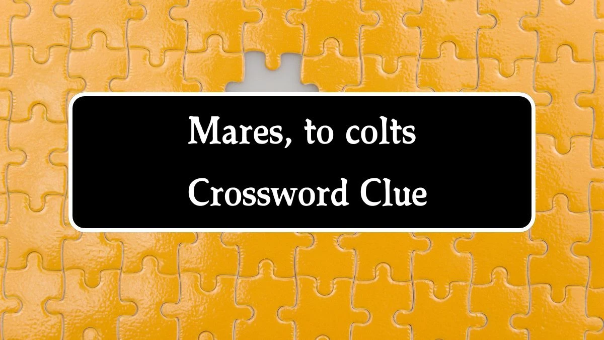 USA Today Mares, to colts Crossword Clue Puzzle Answer from August 09, 2024