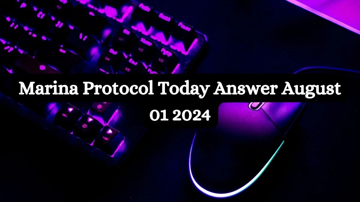 Marina Protocol Today Answer August 01 2024