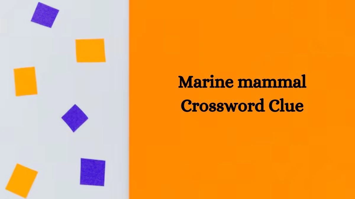 Irish Daily Mail Quick Marine mammal 7 Letters Crossword Clue Puzzle Answers from August 29, 2024