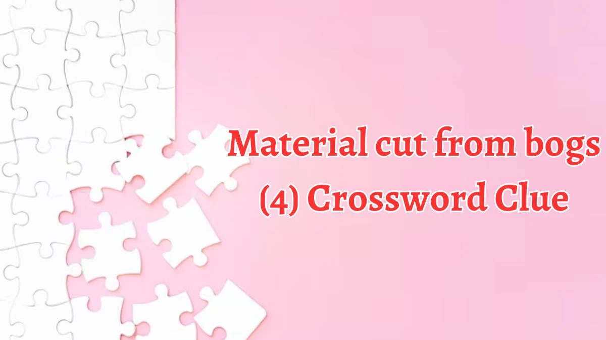 Material cut from bogs (4) Crossword Clue Puzzle Answer from August 09, 2024