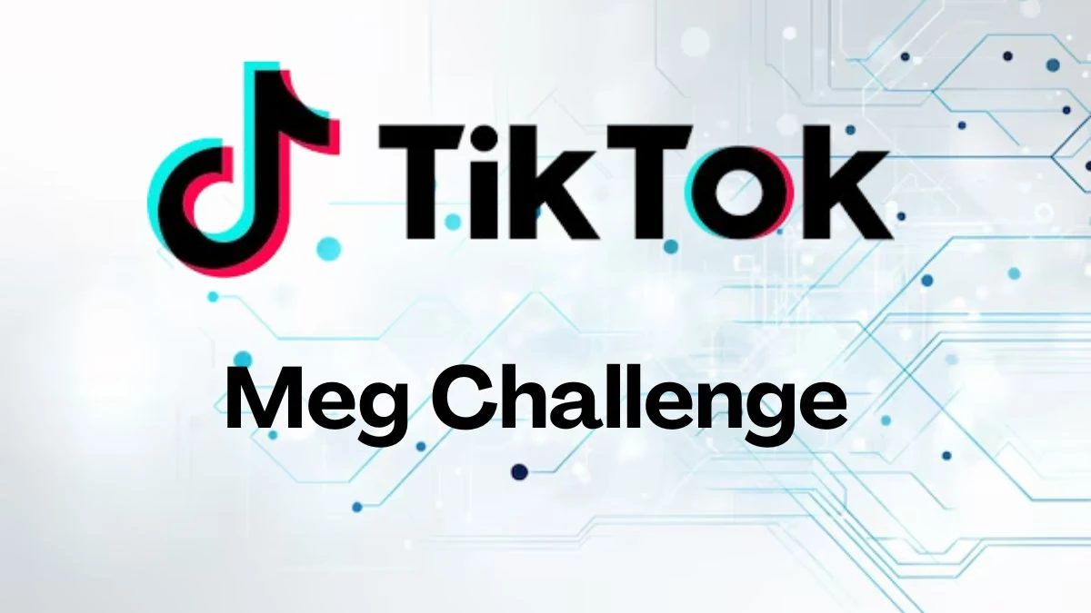 Meg Challenge Tiktok, What is the Go Meg Challenge on Tiktok? 