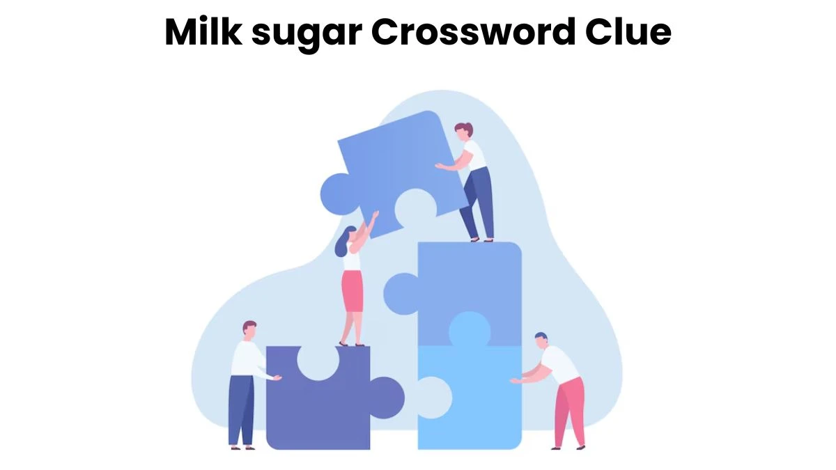 LA Times Milk sugar Crossword Puzzle Answer from August 18, 2024