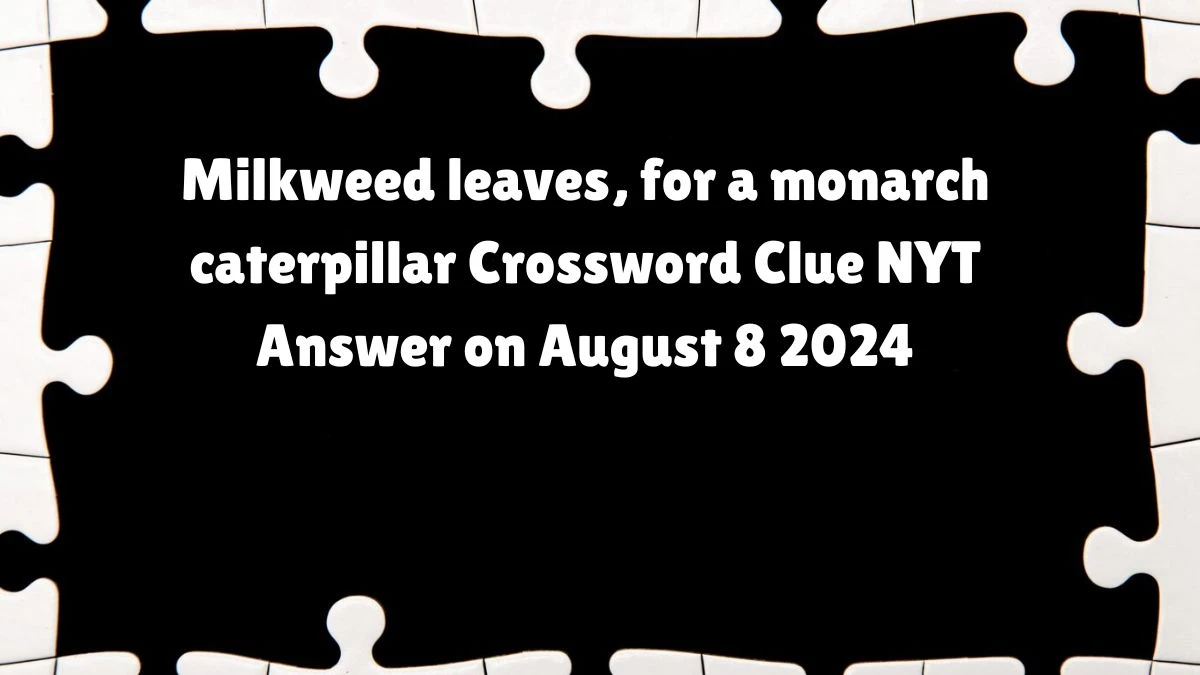 Milkweed leaves, for a monarch caterpillar NYT Crossword Clue Puzzle Answer on August 11, 2024