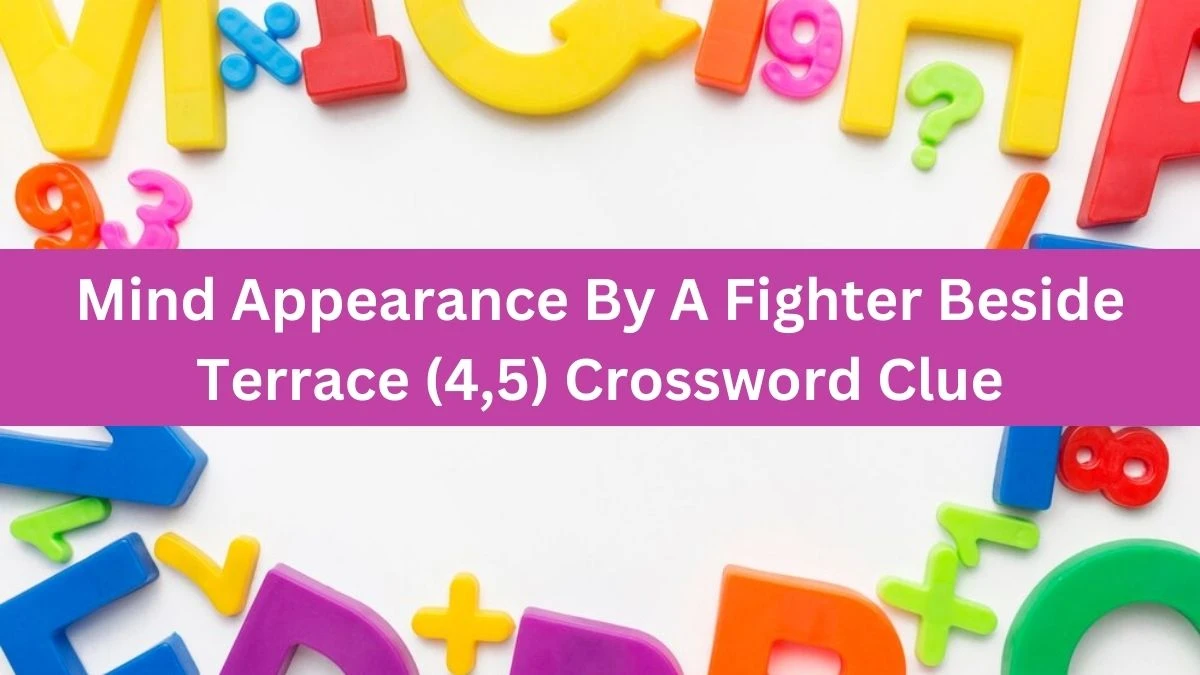 Mind Appearance By A Fighter Beside Terrace (4,5) Crossword Clue Answers on August 09, 2024