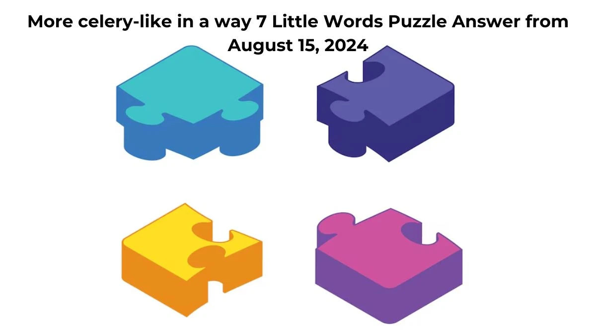 More celery-like in a way 7 Little Words Puzzle Answer from August 15, 2024