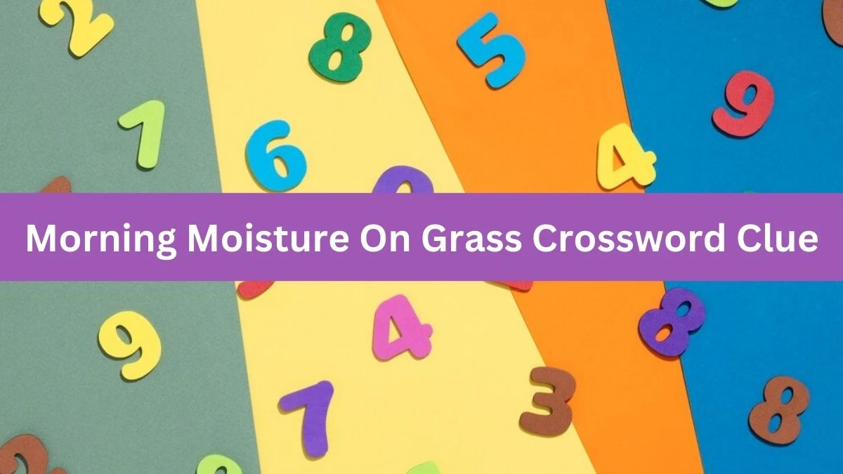 USA Today Morning Moisture On Grass Crossword Clue Puzzle Answer from August 08, 2024