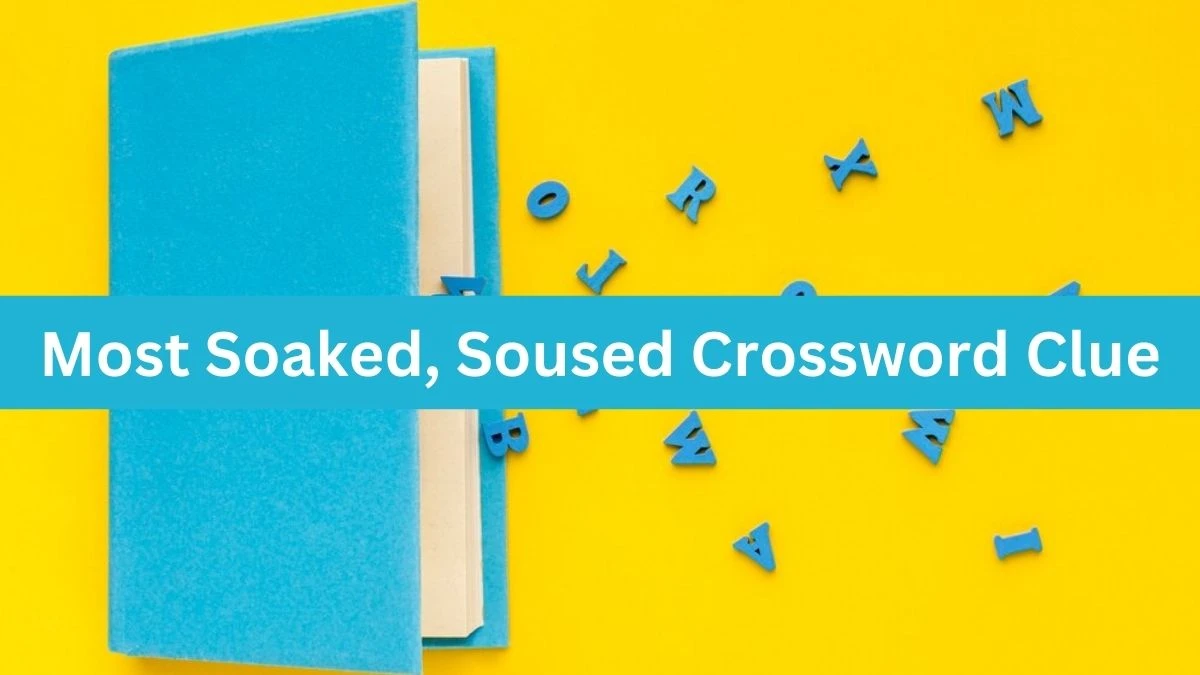 Most Soaked, Soused Puzzle Page Crossword Clue Puzzle Answer from August 16, 2024