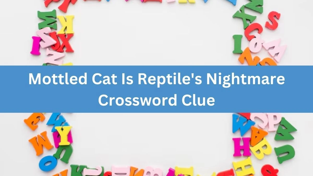 Mottled Cat Is Reptile's Nightmare Crossword Clue Puzzle Answer from August 16, 2024