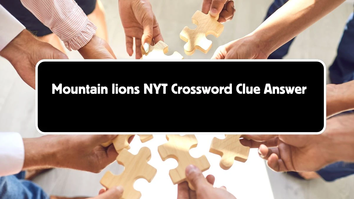 Mountain lions Crossword Clue NYT Puzzle Answer from August 05, 2024