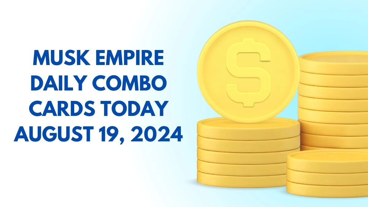 Musk Empire Daily Combo Cards Today August 18, 2024