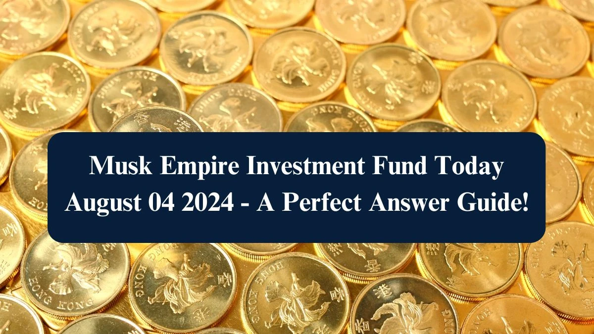 Musk Empire Investment Fund Today August 04 2024 - A Perfect Answer Guide!