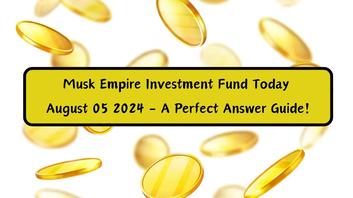 Musk Empire Investment Fund Today August 05 2024 - A Perfect Answer Guide!