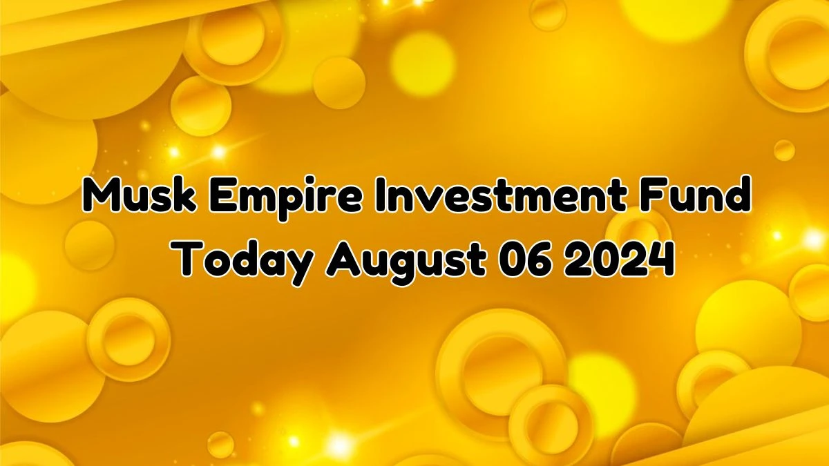 Musk Empire Investment Fund Today August 06 2024 - A Perfect Answer Guide!