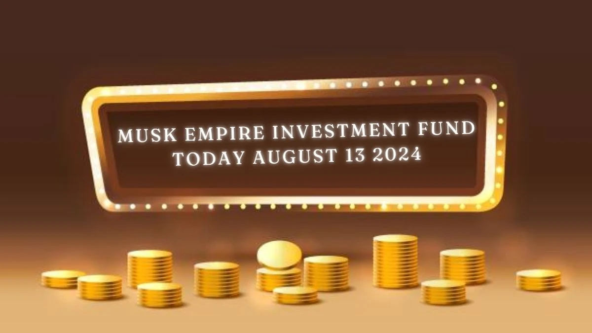 Musk Empire Investment Fund Today August 13 2024 - A Perfect Guide