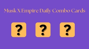 Musk X Empire Daily Combo Cards for Today 12, August 2024