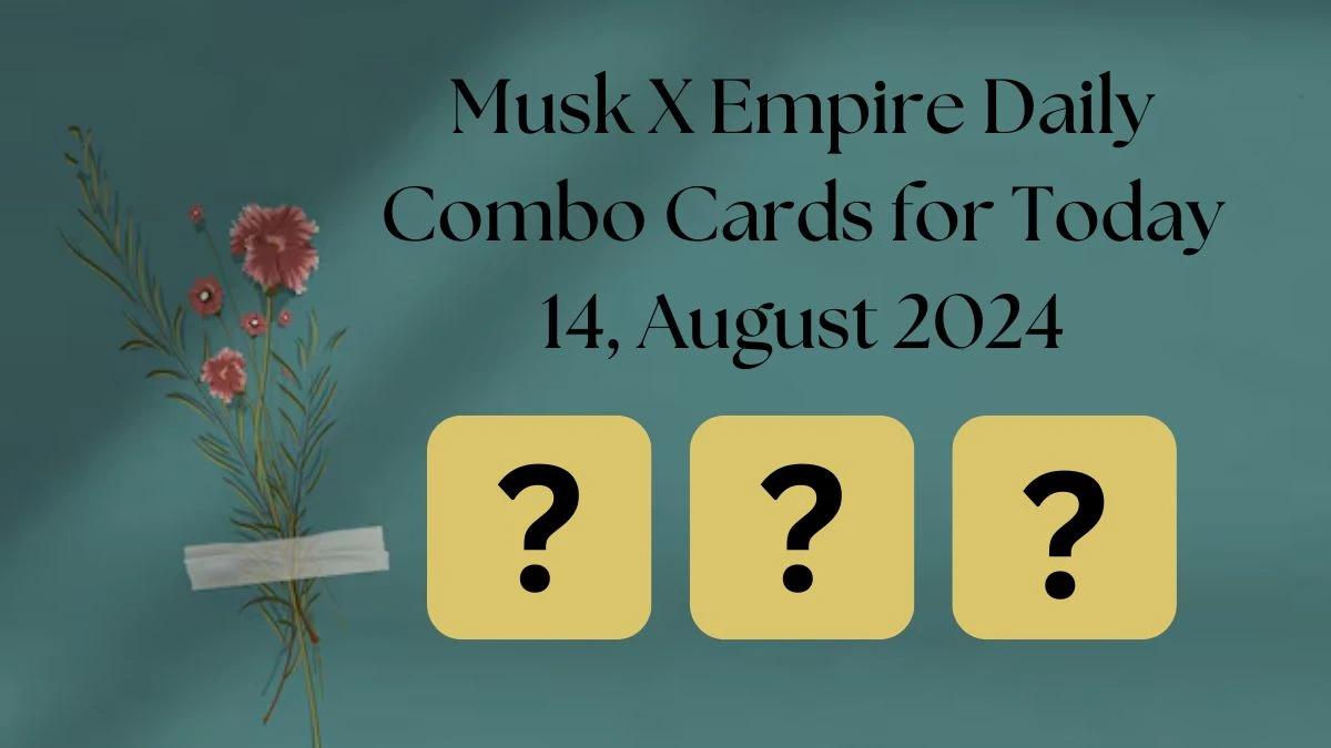 Musk X Empire Daily Combo Cards for Today 14, August 2024