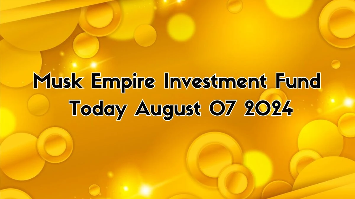 Musk X Empire Investment Fund Today August 07 2024 - A Perfect Answer Guide!