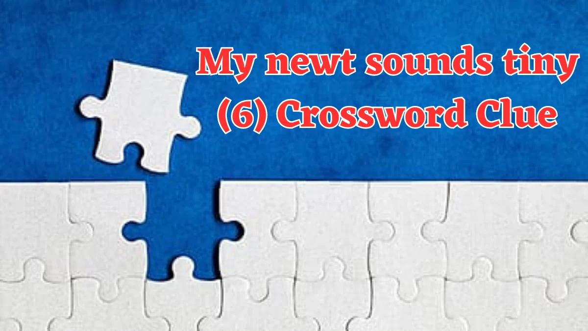 My newt sounds tiny (6) Crossword Clue Puzzle Answer from August 05, 2024